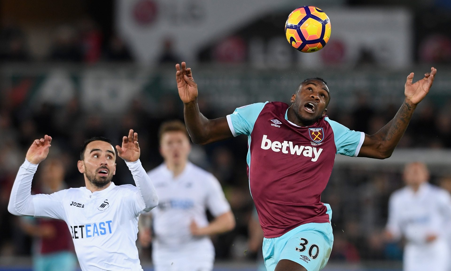 巨星展示了 巨星展示了