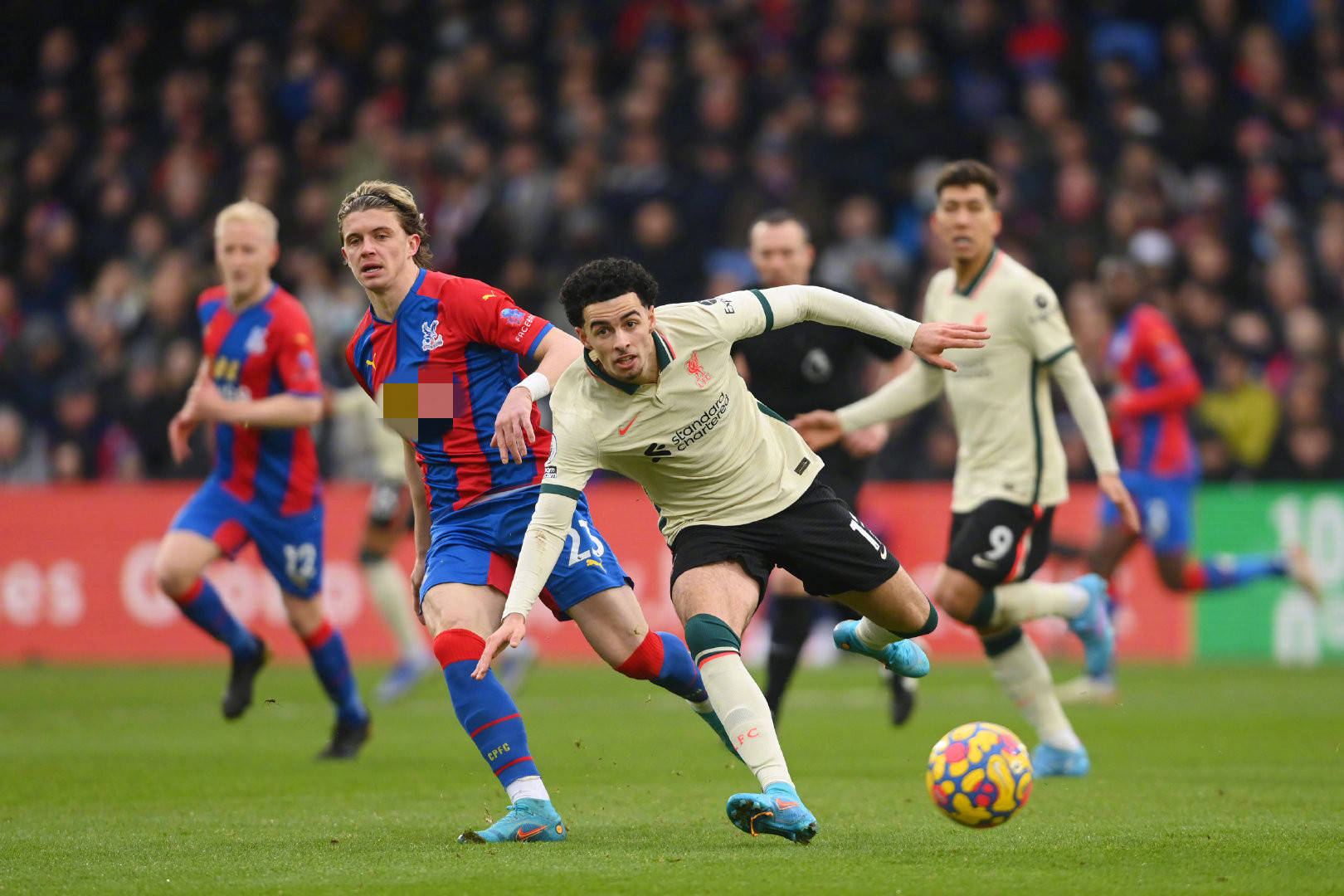 贡萨洛以一 贡萨洛以一